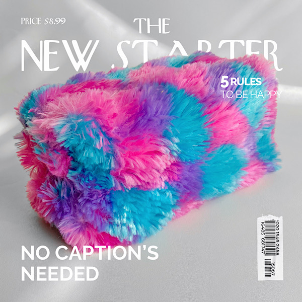 بیوتی کیس پری دریایی