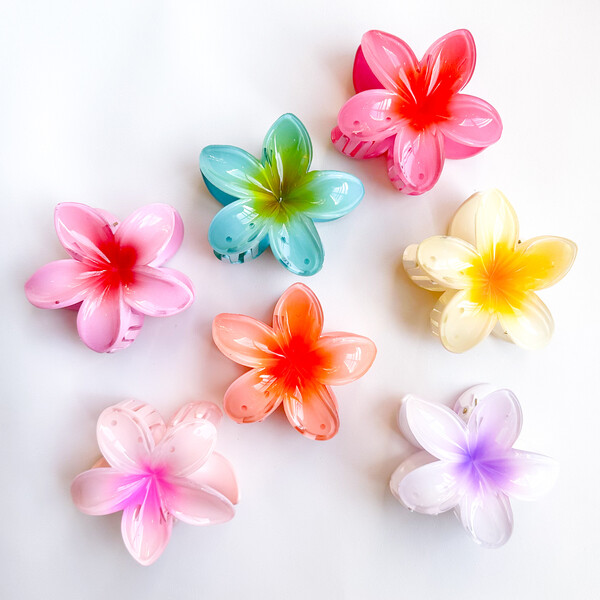 کلیپس هاوایی پلومریا