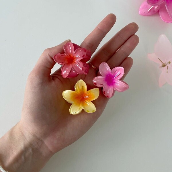 کلیپس هاوایی پلومریا مینی